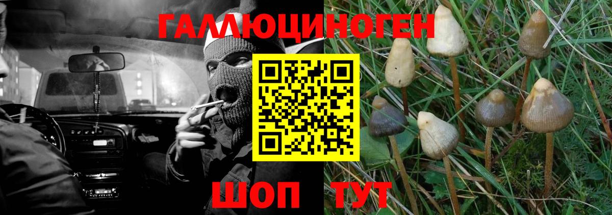Галлюциногенные грибы Psilocybine cubensis  как найти наркотики  Орехово-Зуево  Галлюциногенные грибы MAGIC MUSHROOMS  Вход с VPN 